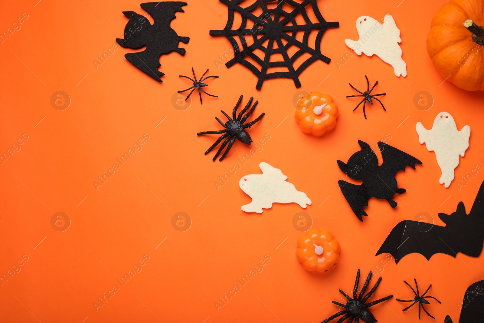 Photo of Flat lay composition with bats, pumpkins, ghosts and spiders on orange background, space for text. Halloween celebration