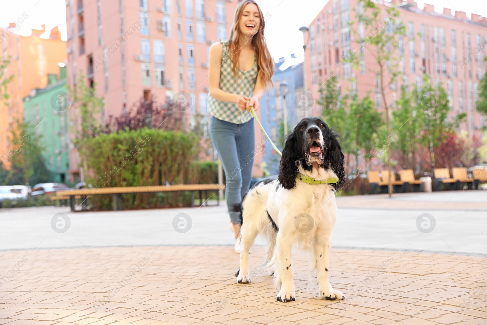 Photo of Woman walking English Springer Spaniel dog outdoors