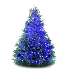 Beautiful Christmas tree with festive lights isolated on white