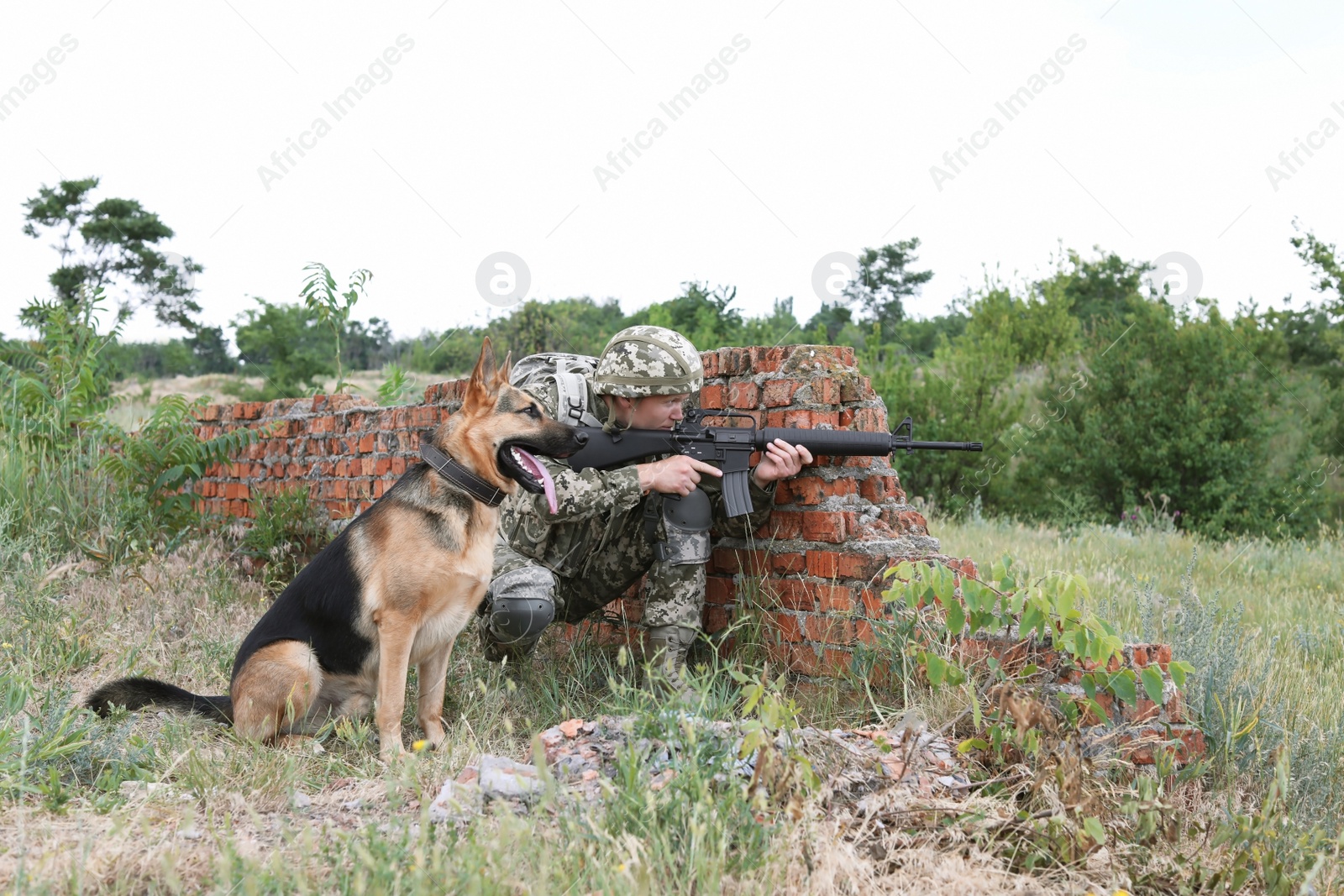 Photo of Man in military uniform with German shepherd dog near broken brick wall