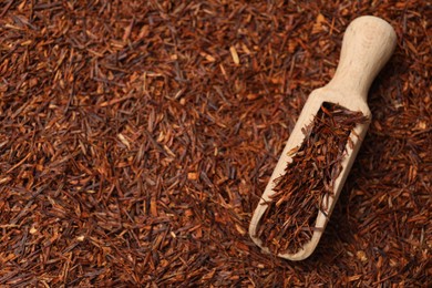 Rooibos tea and wooden scoop, top view