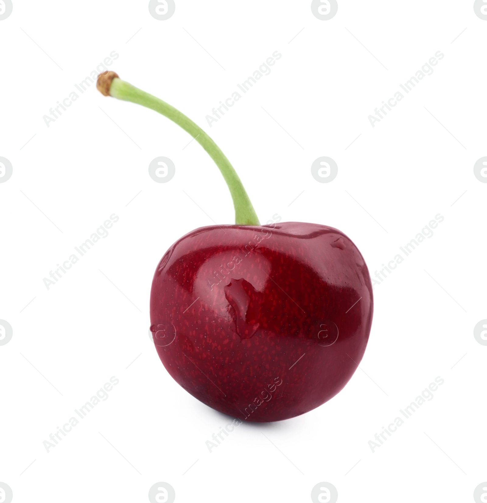 Photo of Fresh sweet cherry with water drops isolated on white