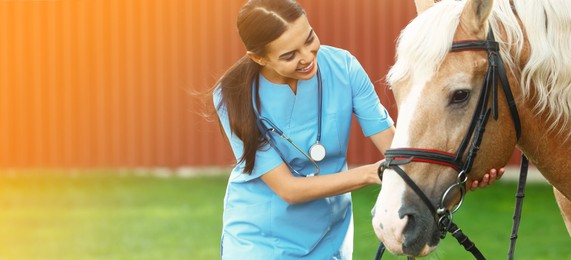 Image of Young veterinarian with palomino horse outdoors on sunny day, space for text. Banner design