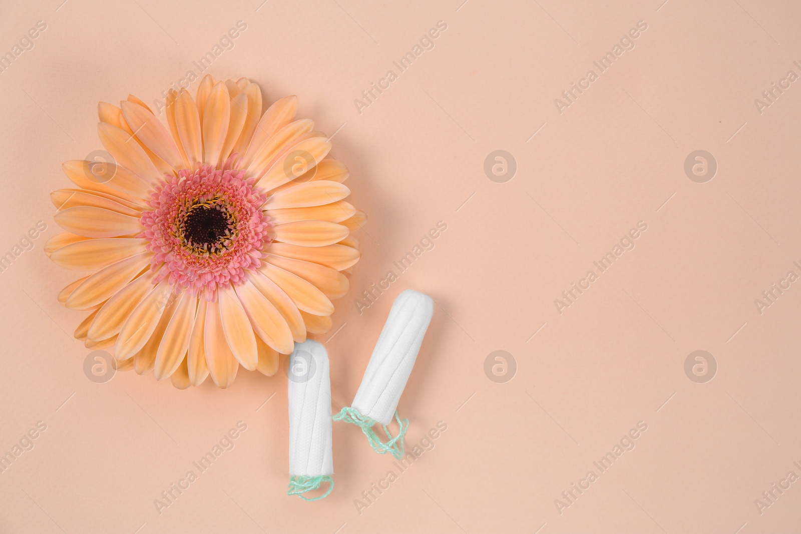 Photo of Flat lay composition with flower and tampons on color background. Gynecological checkup