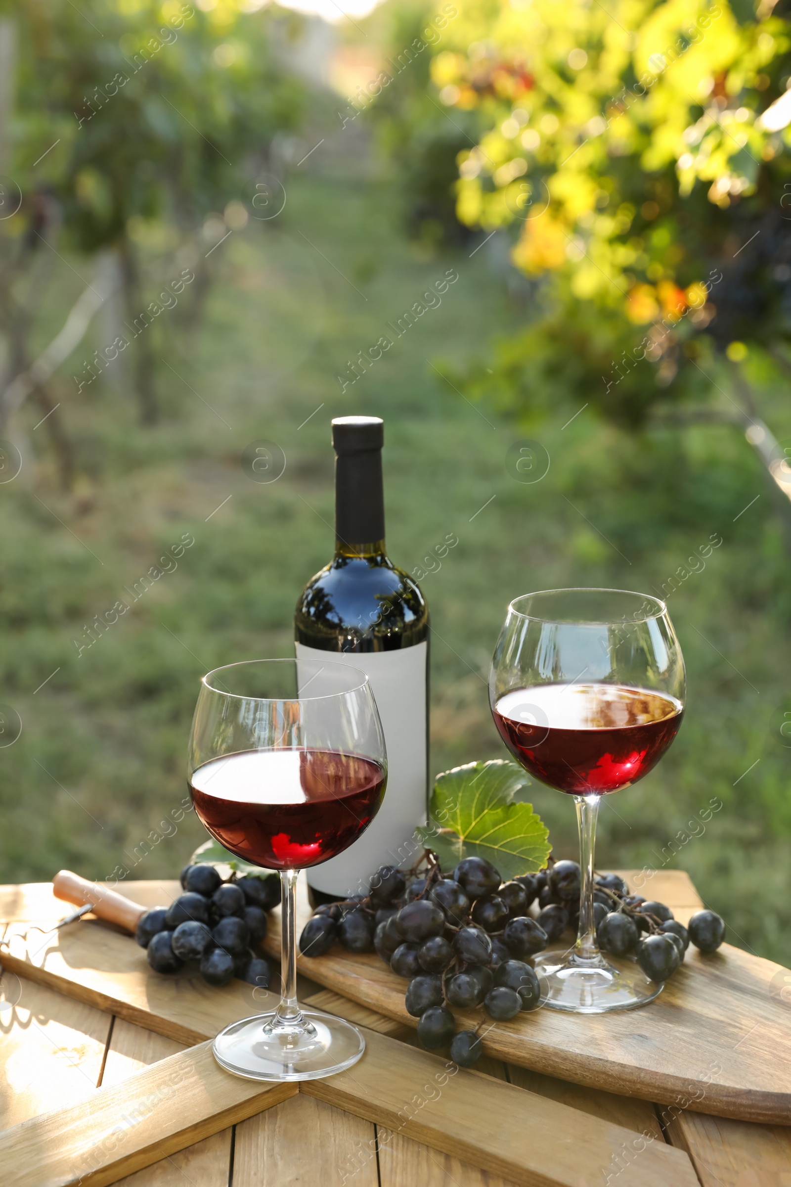 Photo of Composition with wine and ripe grapes on wooden table in vineyard