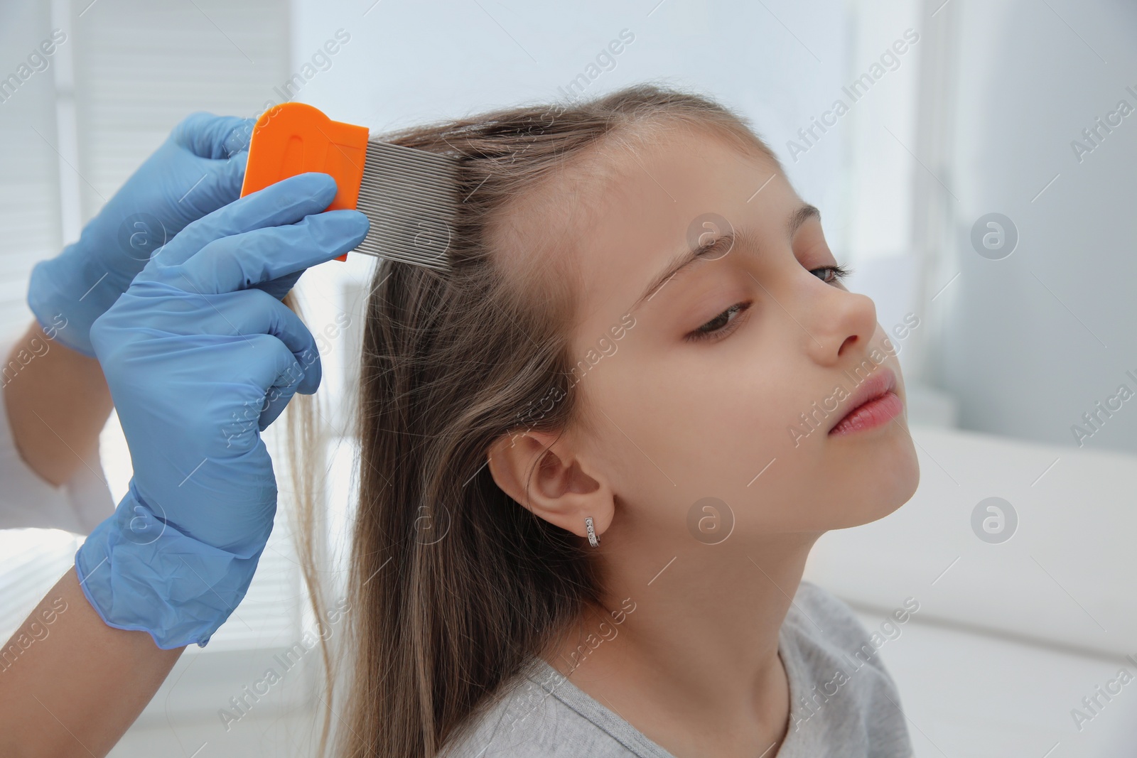 Photo of Doctor using nit comb on girl's hair in clinic. Anti lice treatment