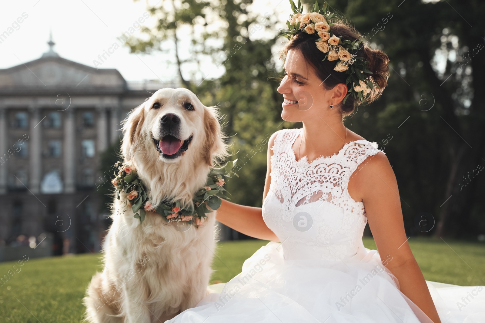 Photo of Bride and adorable Golden Retriever wearing wreath made of beautiful flowers on green grass outdoors