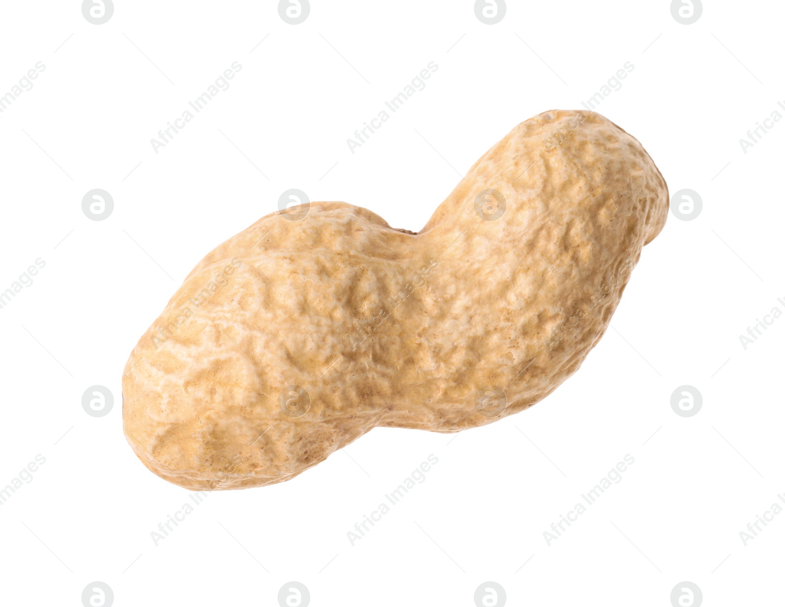 Photo of One fresh unpeeled peanut isolated on white