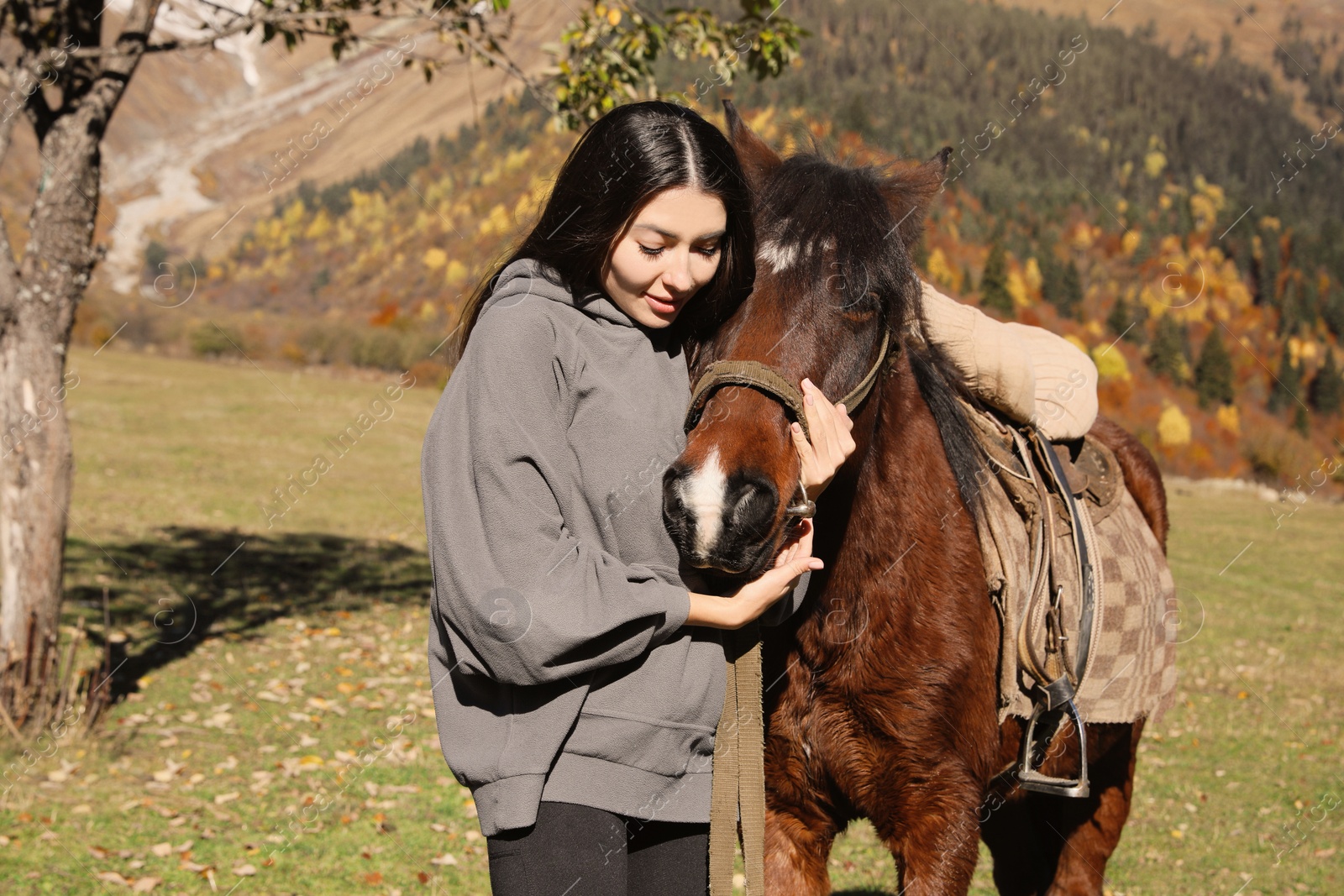 Photo of Young woman hugging horse in mountains on sunny day. Beautiful pet