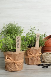 Different aromatic potted herbs and gardening tools on light wooden table