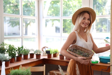 Young woman holding basket with home plants in shop, space for text
