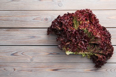 Fresh red coral lettuce on wooden table, top view. Space for text