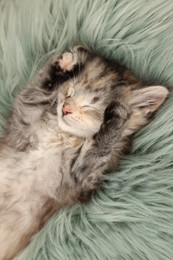 Photo of Cute kitten sleeping on fuzzy rug, above view