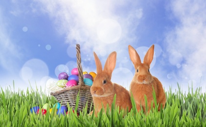 Image of Cute bunnies and wicker basket with colorful Easter eggs on green grass outdoors