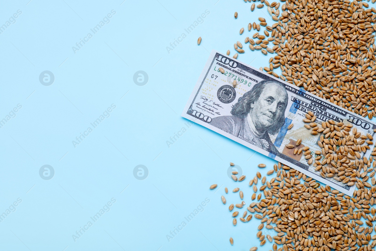 Photo of Import and export concept. Wheat grains and money on light blue background, flat lay. Space for text