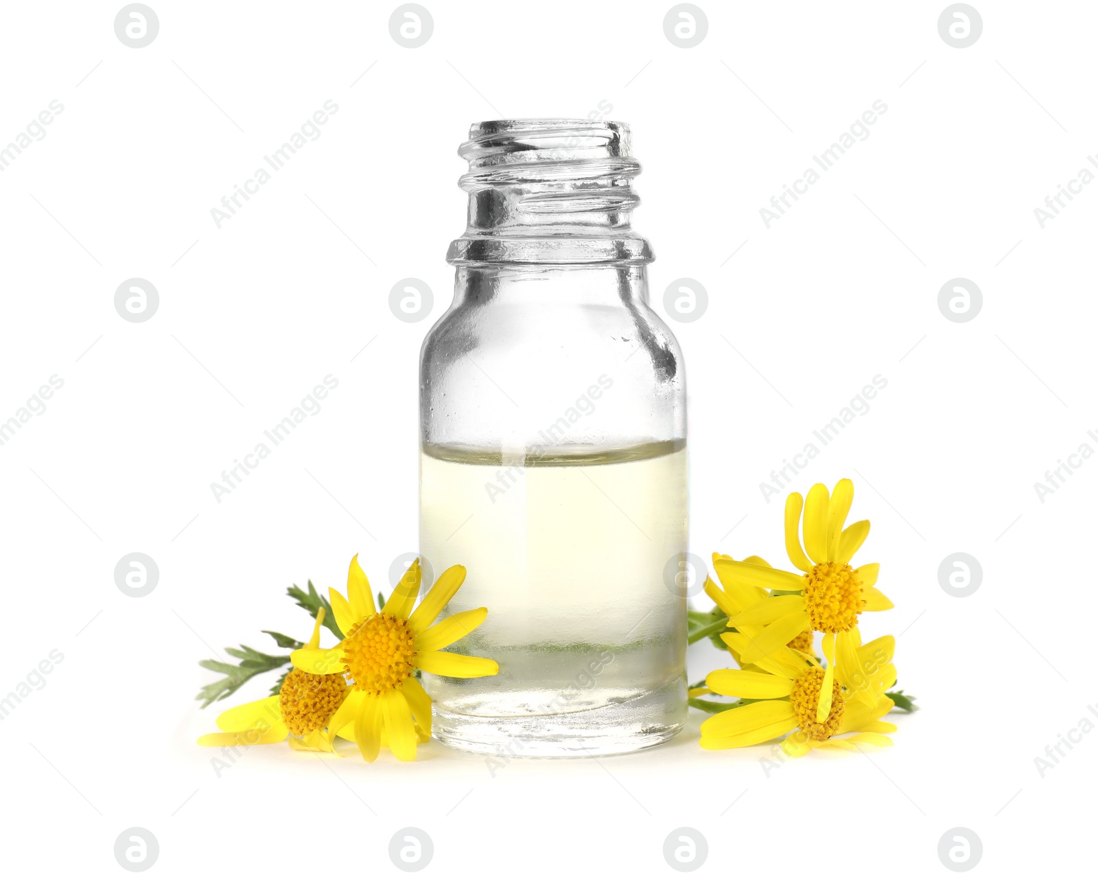 Photo of Bottle of herbal essential oil and flowers isolated on white
