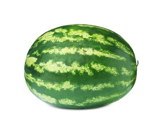 One whole ripe watermelon isolated on white