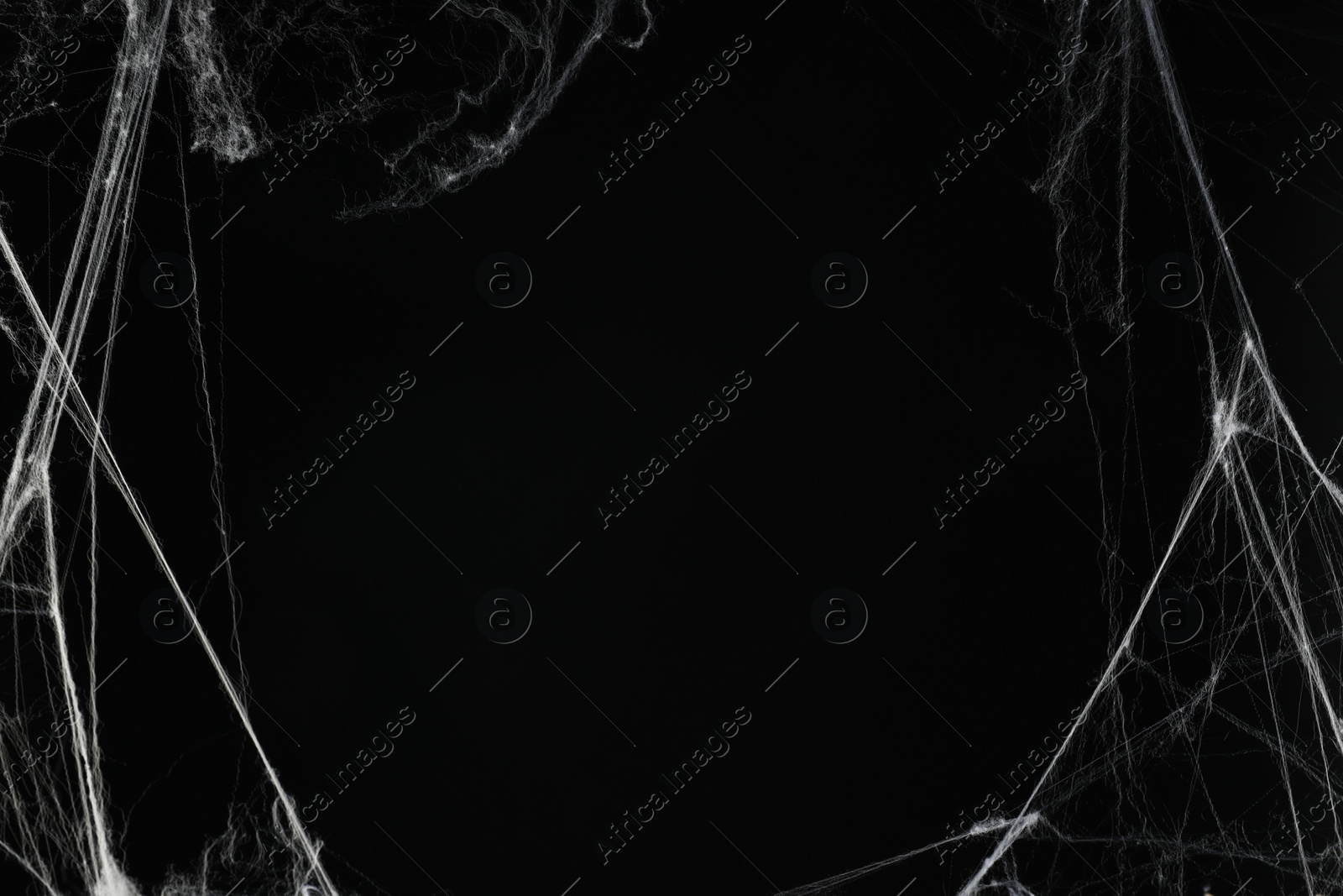 Photo of Creepy white cobweb on black background, space for text