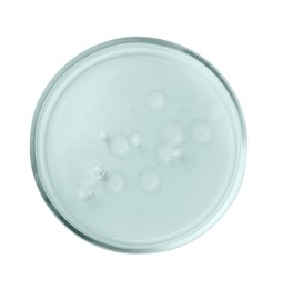 Photo of Petri dish with color liquid isolated on white, top view