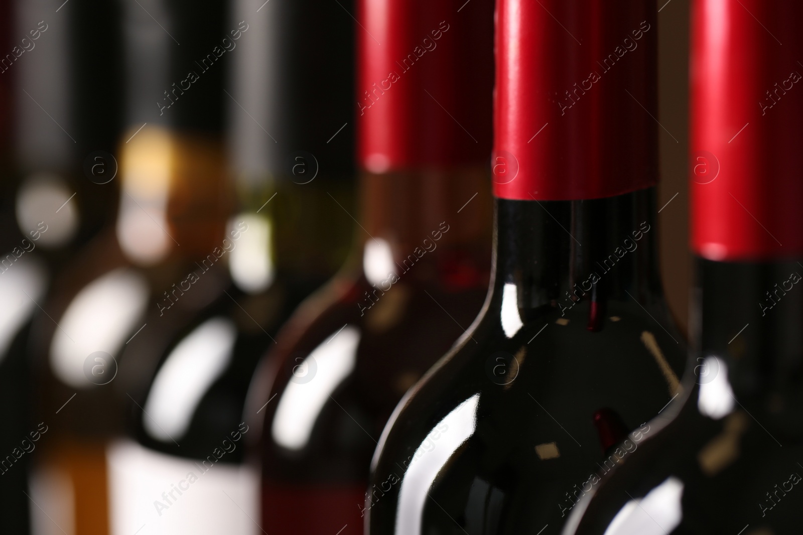 Photo of Bottles of different wines, closeup. Expensive collection