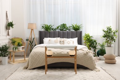 Photo of Large comfortable bed, lamp and beautiful houseplants in bedroom. Interior design