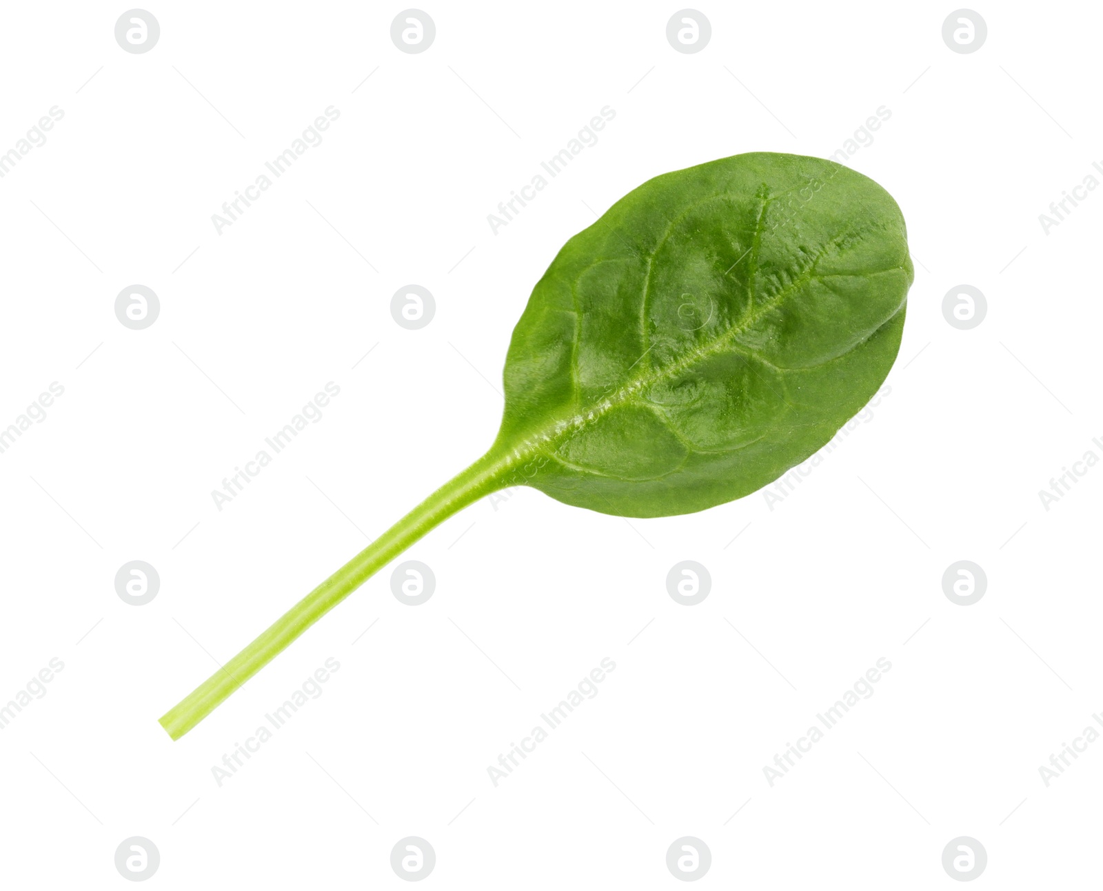 Photo of Fresh leaf of spinach isolated on white, top view