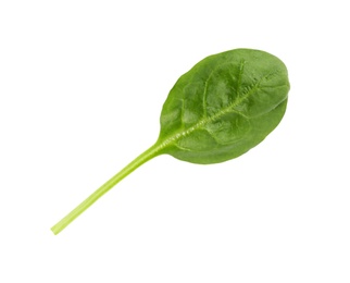 Photo of Fresh leaf of spinach isolated on white, top view