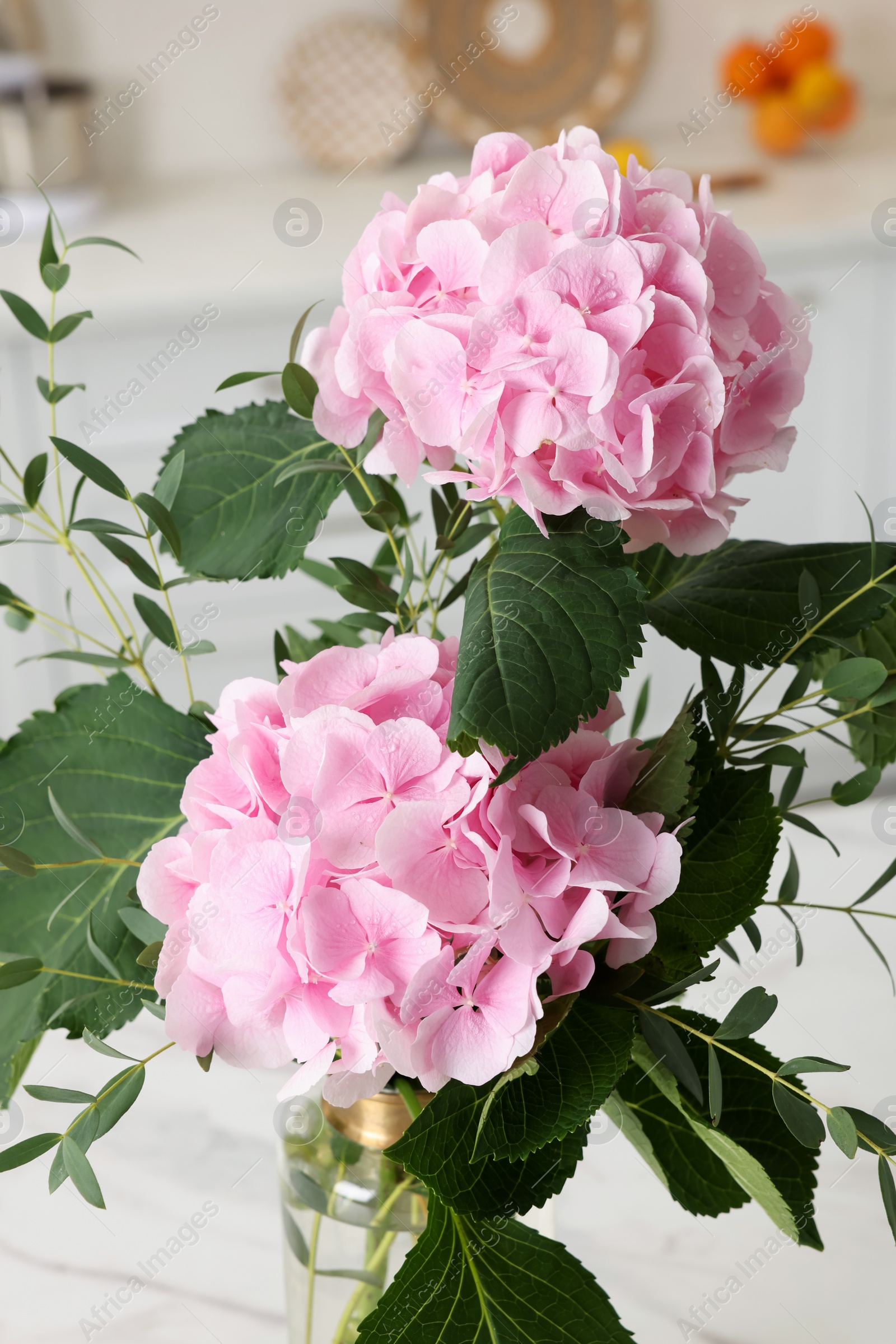 Photo of Beautiful pink hortensia flowers in vase indoors, closeup