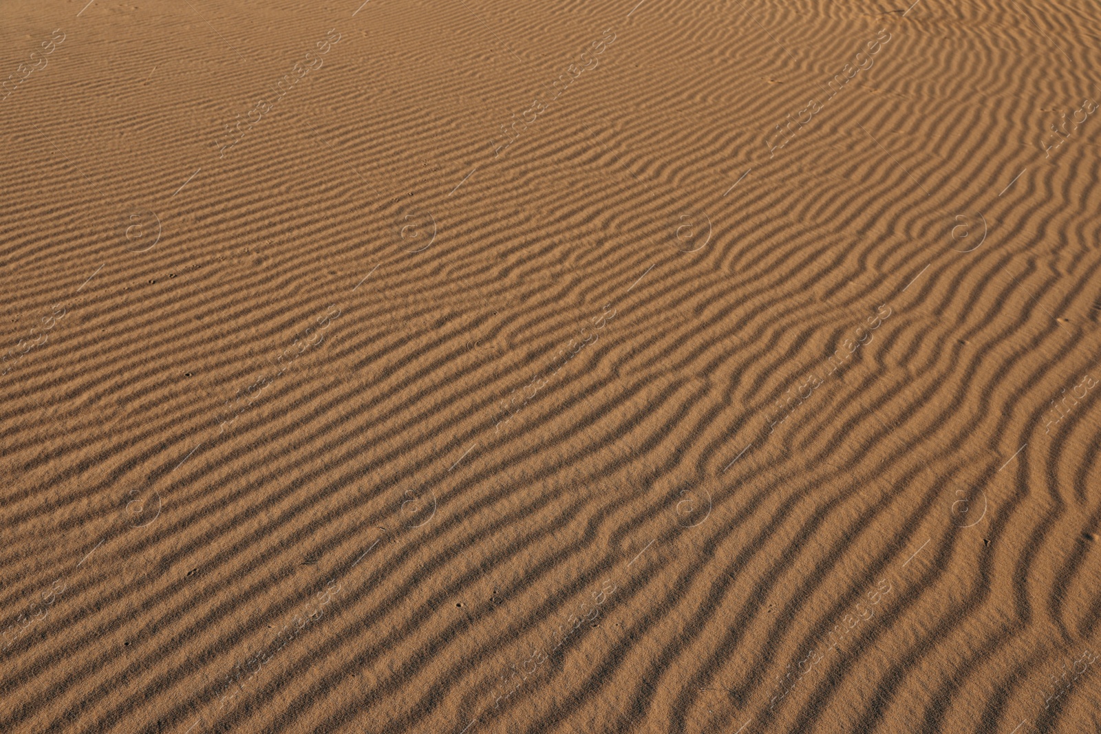 Photo of Closeup view of sand dune in desert as background