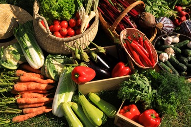 Photo of Different fresh ripe vegetables on grass, above view