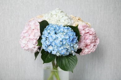 Beautiful hydrangea flowers in vase near light gray wall, closeup