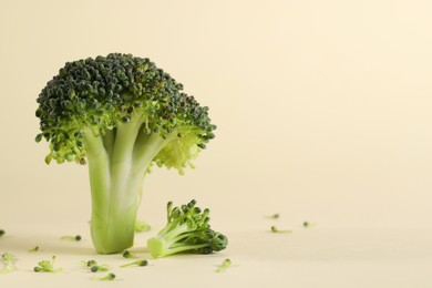 Fresh raw broccoli on beige background, closeup. Space for text