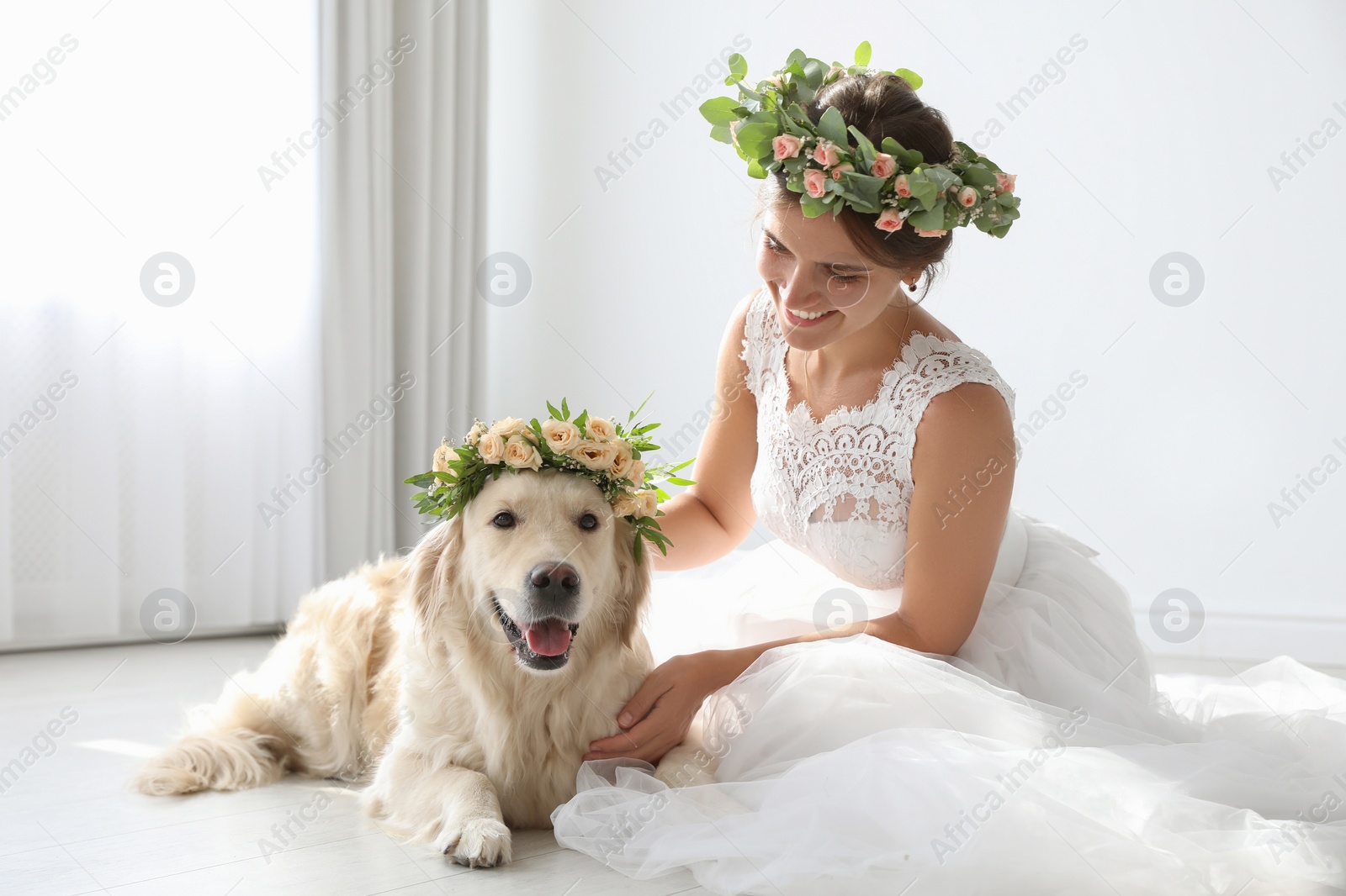 Photo of Bride and adorable Golden Retriever wearing wreath made of beautiful flowers indoors