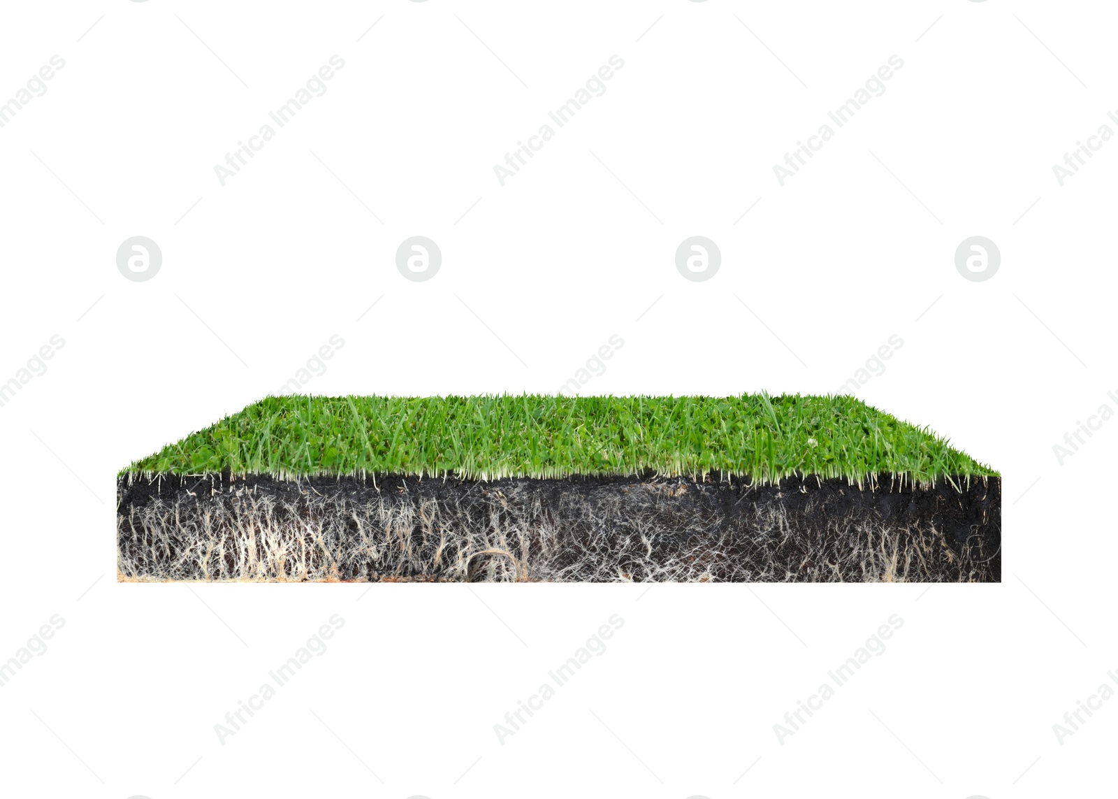 Image of Green grass with soil. Land piece in shape of square isolated on white