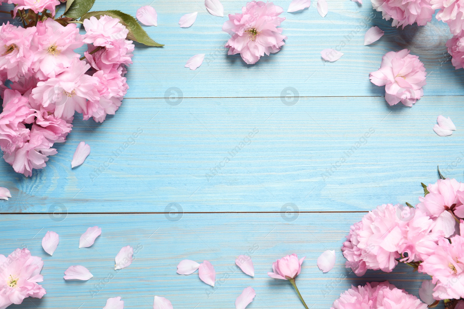 Photo of Beautiful frame of sakura tree blossoms on turquoise wooden table, flat lay. Space for text