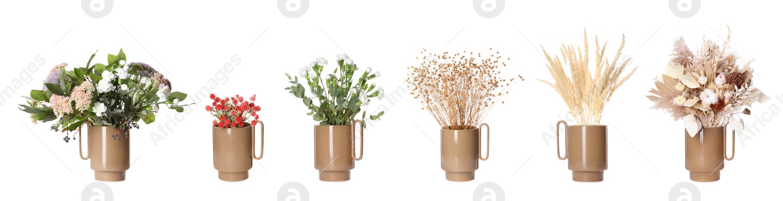 Image of Collage of stylish vase with different bouquets on white background