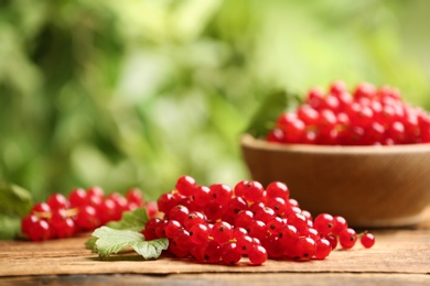 Photo of Ripe red currants on wooden table against blurred background. Space for text