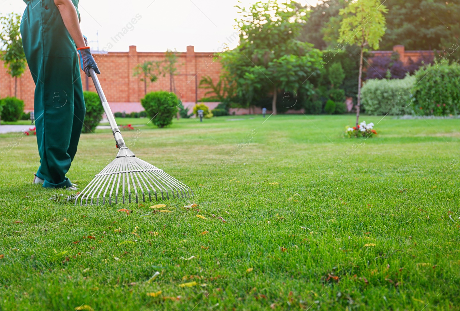 Photo of Woman raking green lawn at backyard. Home gardening