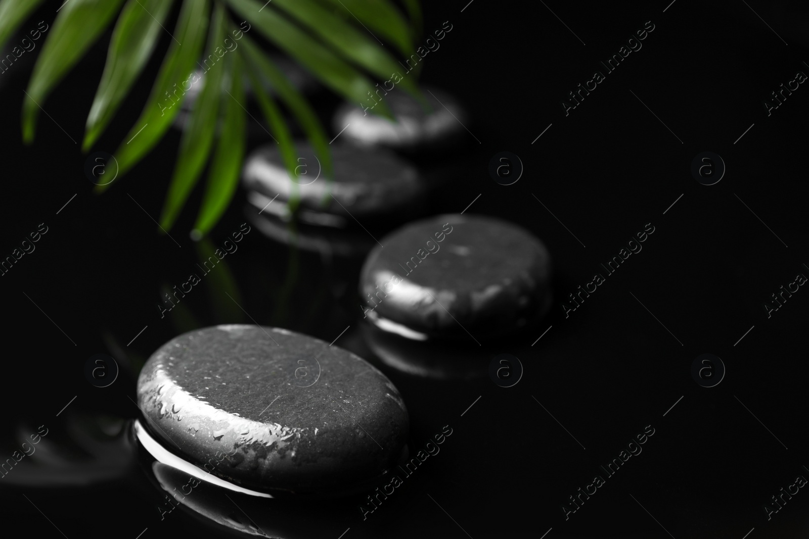 Photo of Composition with wet spa stones and green leaf on black background. Space for text