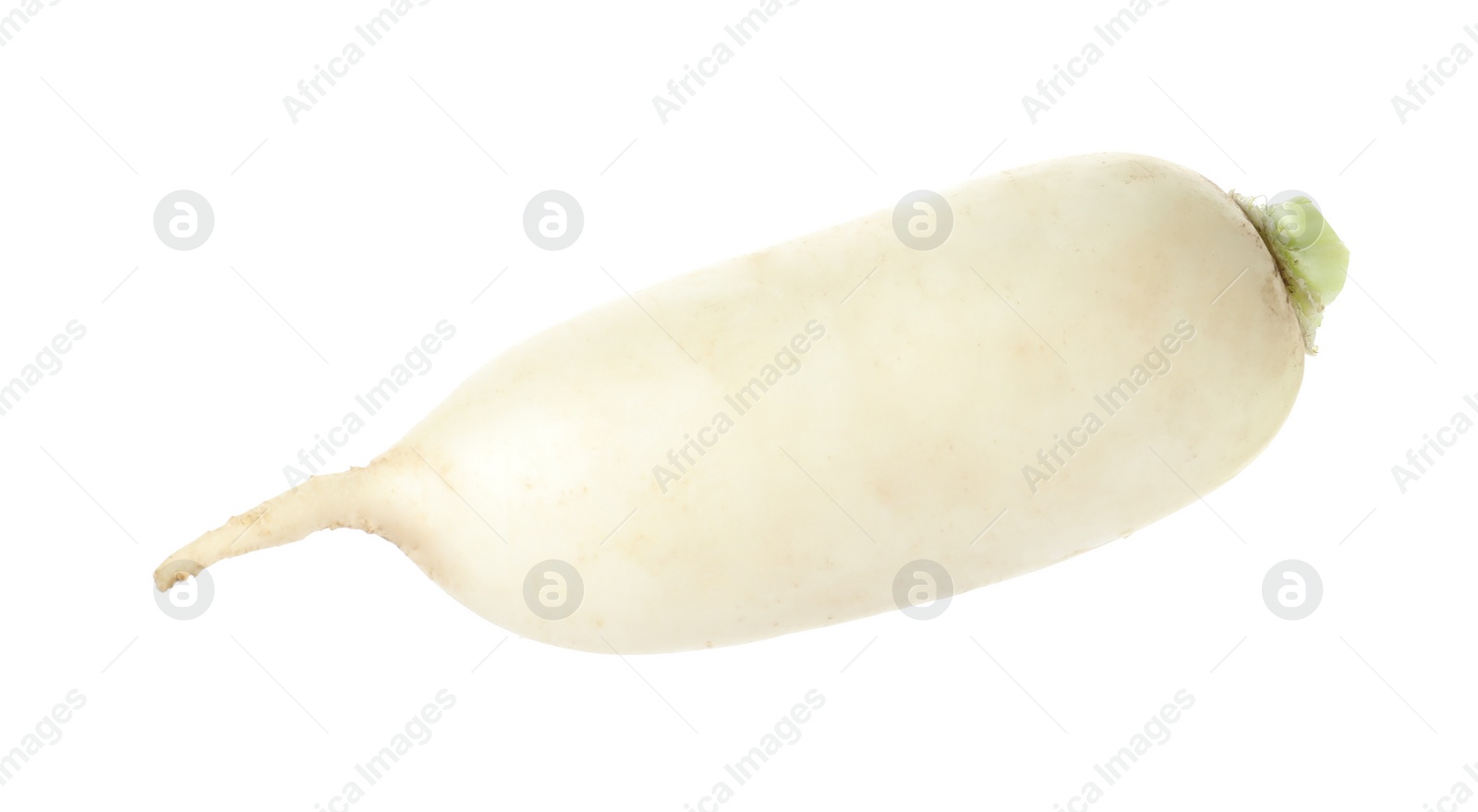 Photo of Whole fresh ripe turnip on white background