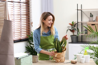 Photo of Young woman taking care of houseplant indoors. Interior element