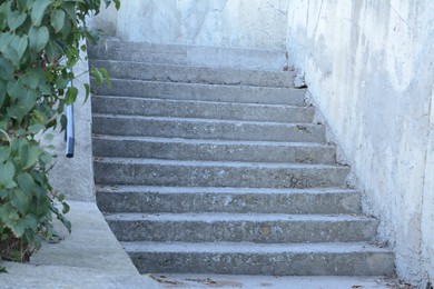 View of empty old stairs near green plants outdoors