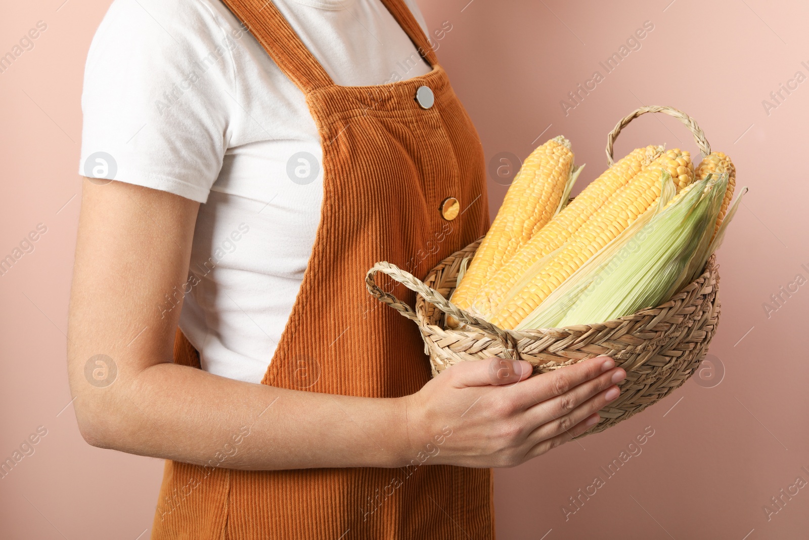 Photo of Woman with basket of corn cobs on coral background, closeup
