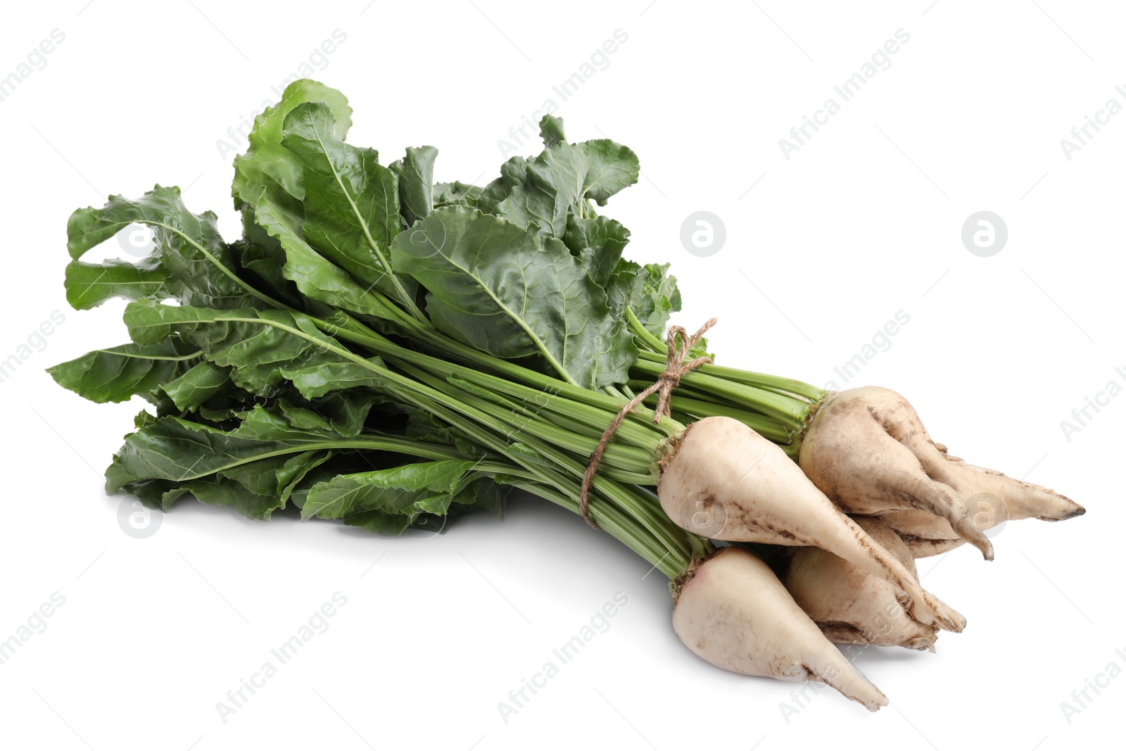 Photo of Sugar beets with leaves on white background