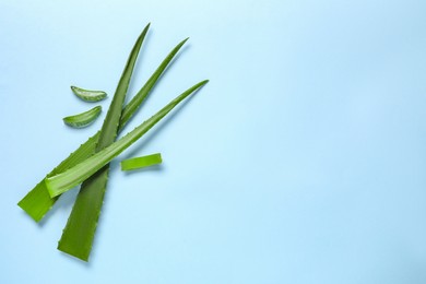 Photo of Cut aloe vera leaves on light blue background, flat lay. Space for text