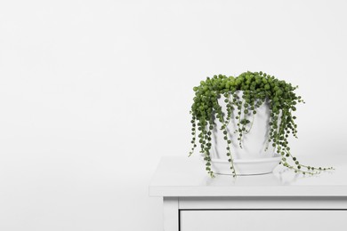 Photo of Beautiful green potted houseplant on white table indoors, space for text