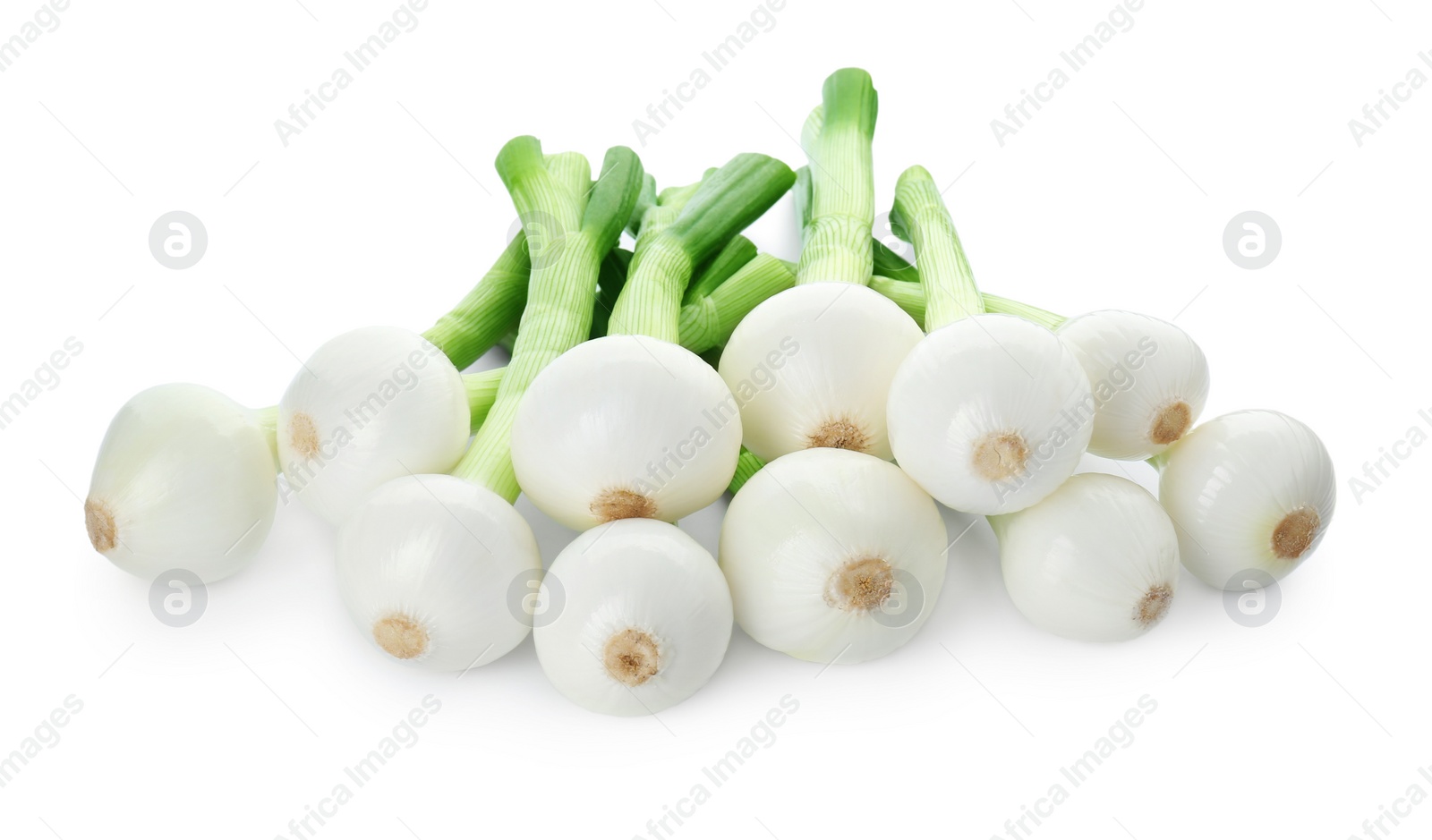 Photo of Whole green spring onions isolated on white