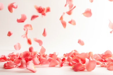 Photo of Beautiful rose petals falling on light background