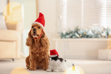 Photo of Adorable Cocker Spaniel dog and cat in Santa hats indoors