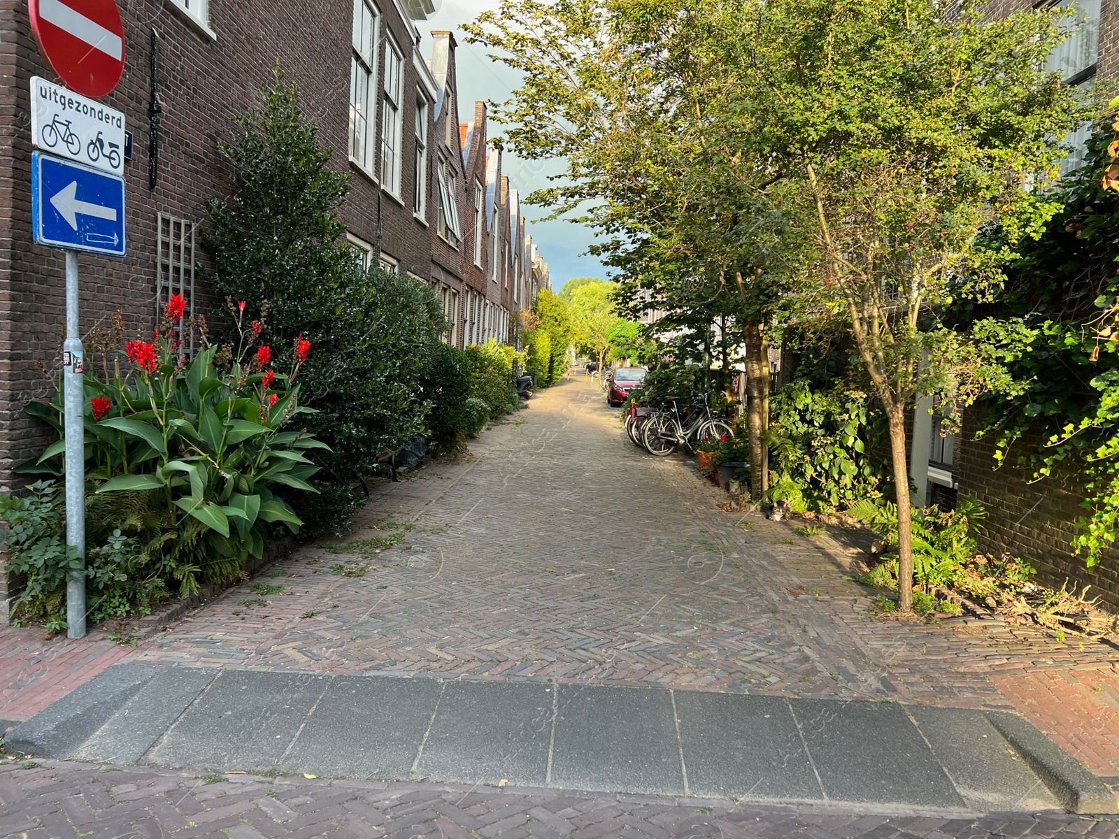 Photo of City street with beautiful buildings, plants and bicycles